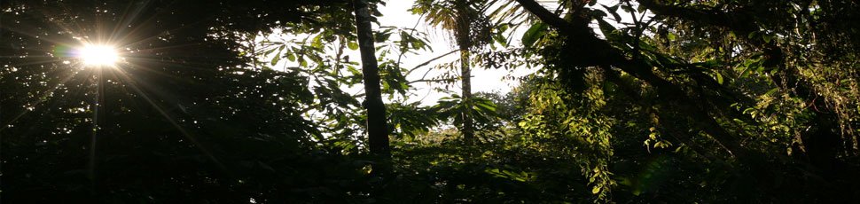 Biodiversity conservation in people dominated landscapes