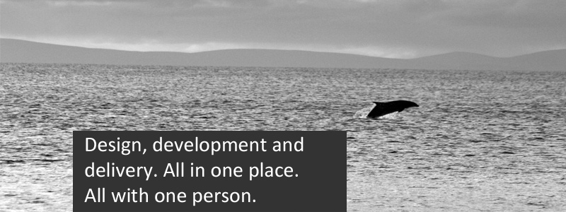 Design, development and delivery
